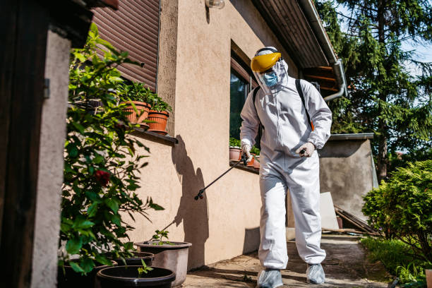 Best Exterminator Services  in Waihee Waiehu, HI