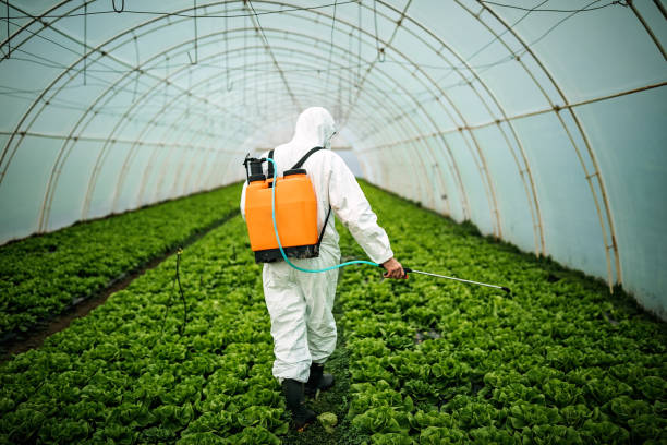 Best Affordable Pest Control Services  in Waihee Waiehu, HI