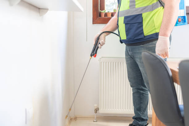 Best Flea Control Services  in Waihee Waiehu, HI