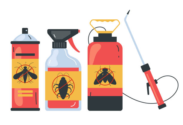 Best Termite Control Services  in Waihee Waiehu, HI